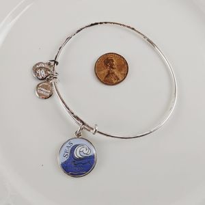 Alex and Ani Shiny Silver Seas The Day Bracelet